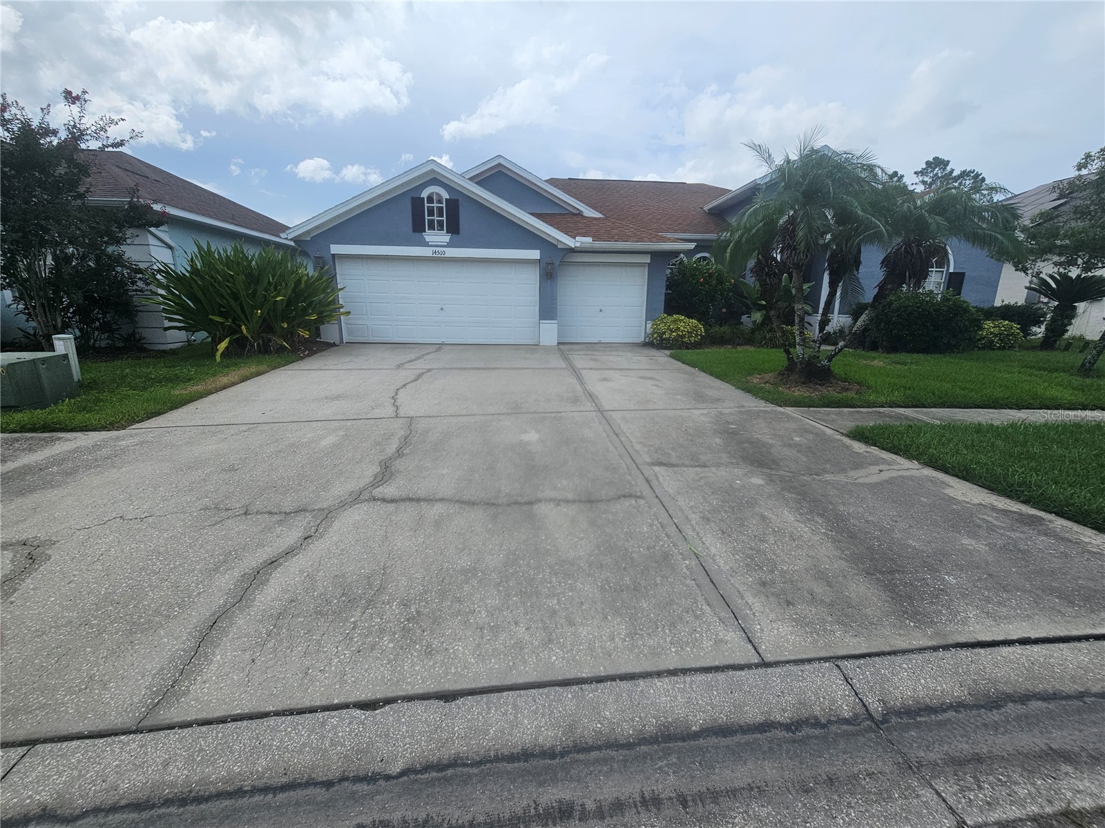 14510 Corkwood Drive Tampa FL 33626 TB8531124 image1
