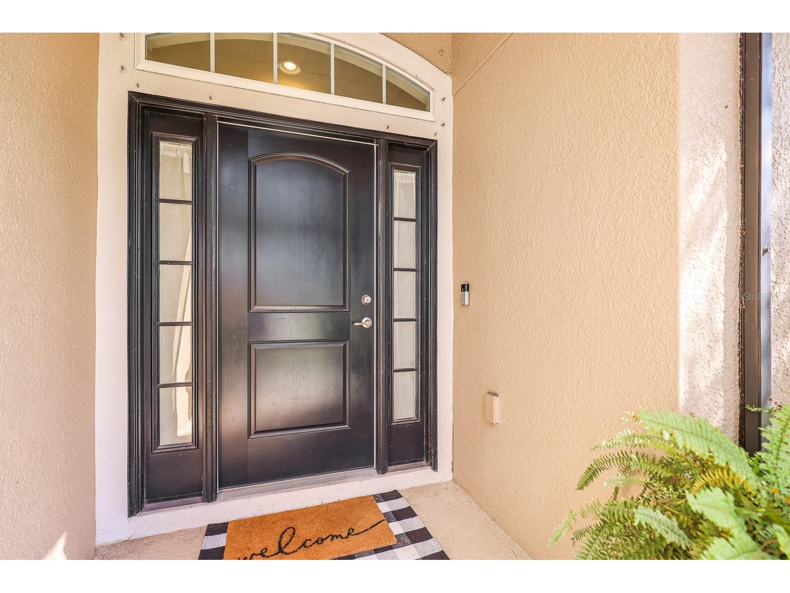 14510 Haddon Mist Drive Wimauma FL 33598 TB8443647 image2