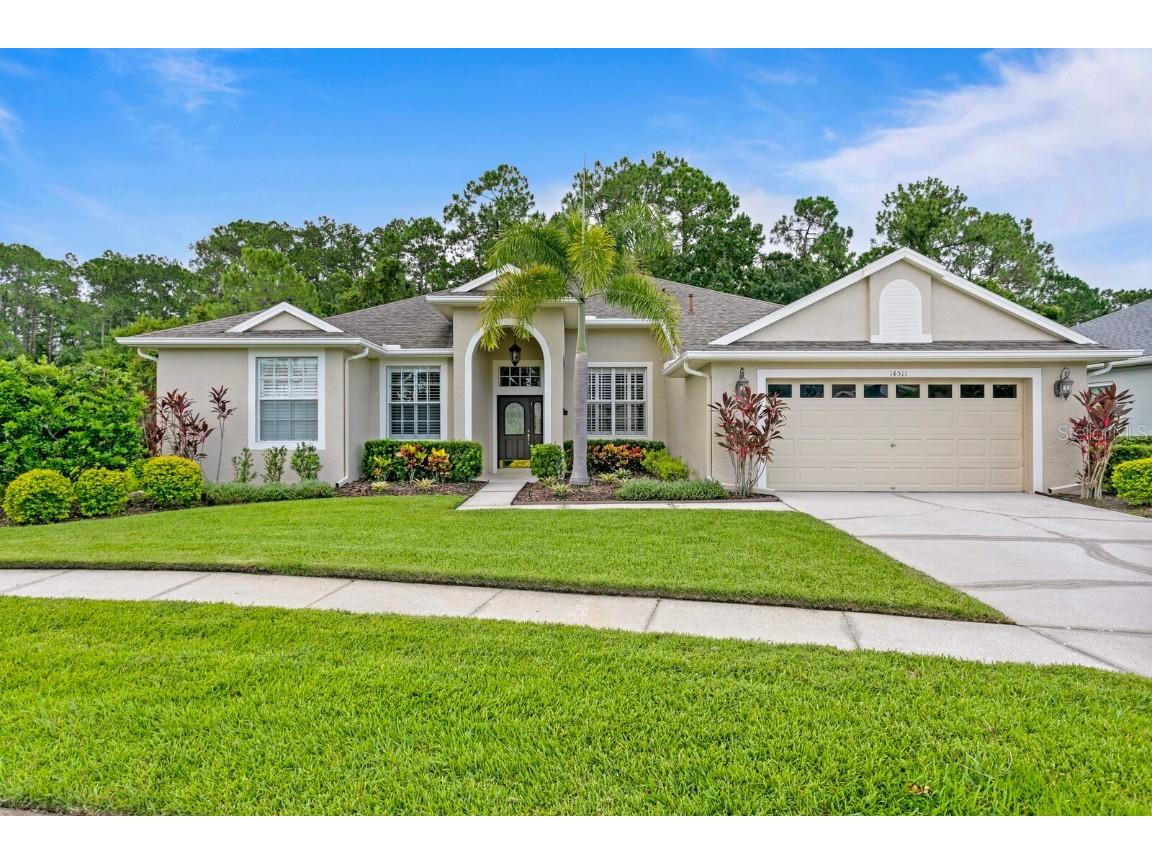 14511 Corkwood Drive Tampa FL 33626 T3542518 image1