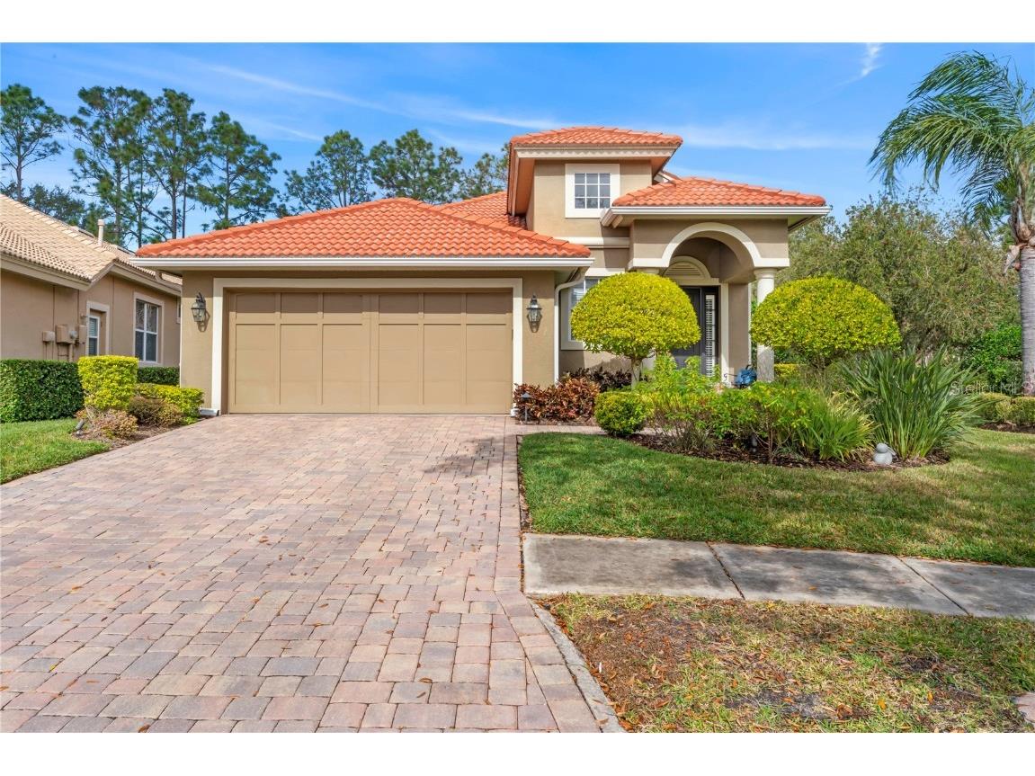 14512 Mirasol Manor Court Tampa FL 33626 T3500064 image1