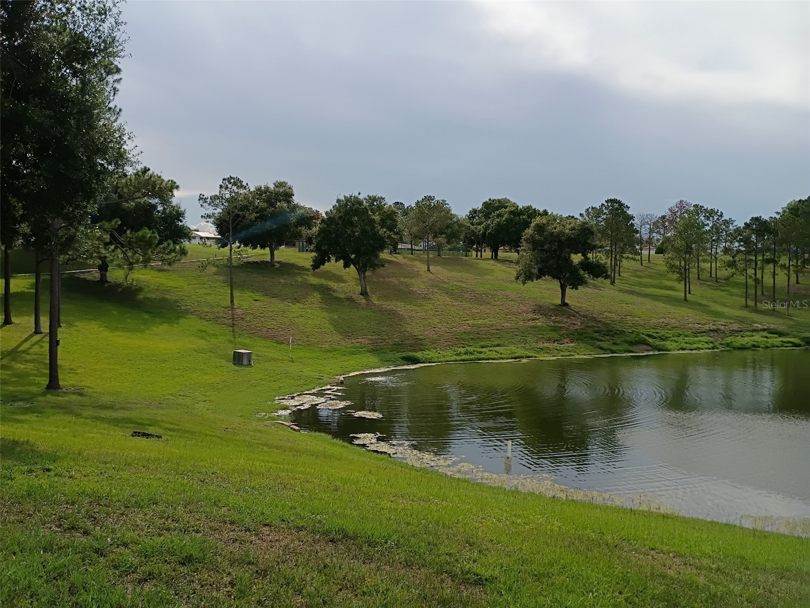 14513 Pointe East Trail Clermont FL 34711 O6414585 image38