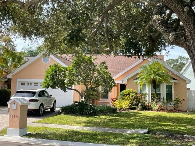 14514 Clifty Court Tampa FL 33624 T3481715 image1