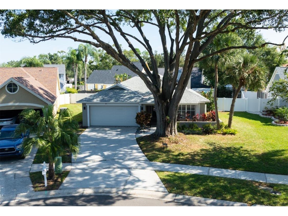 14515 Clifty Court Tampa FL 33624 TB8445173 image1