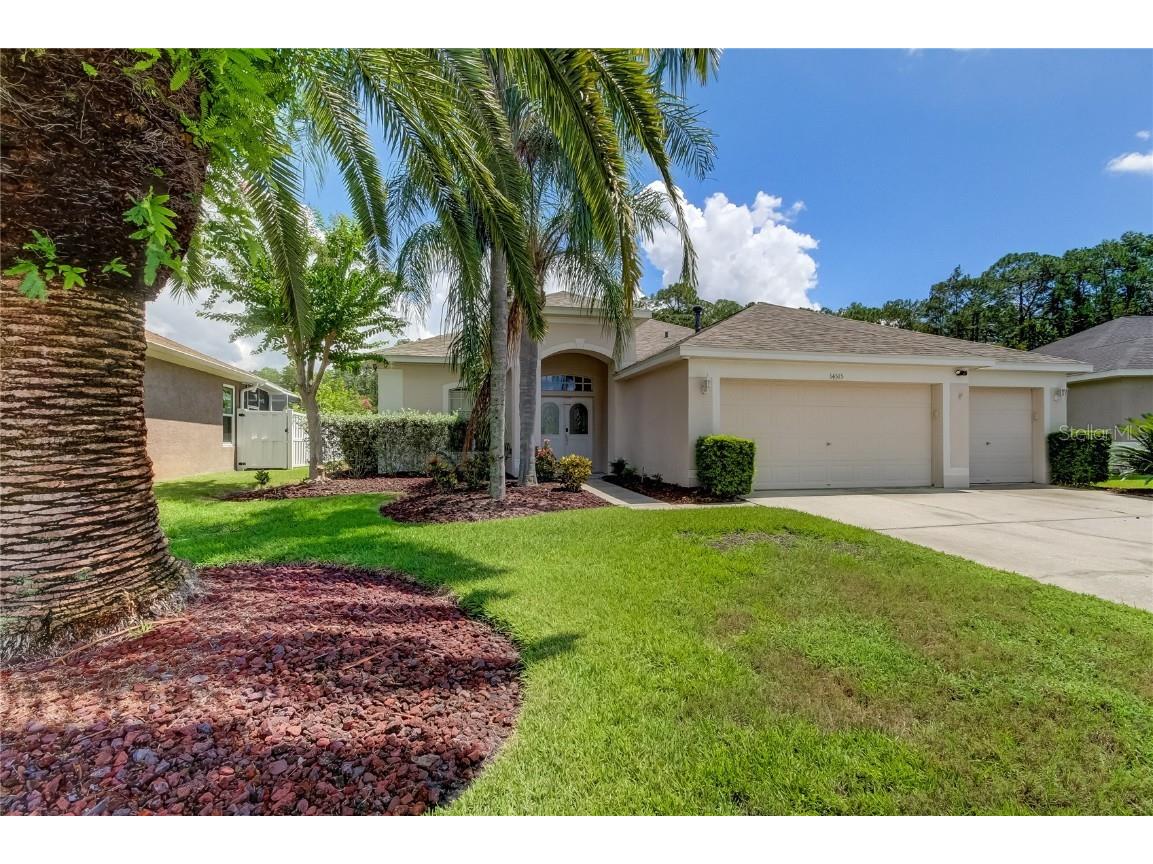 14515 Corkwood Drive Tampa FL 33626 U8255597 image1