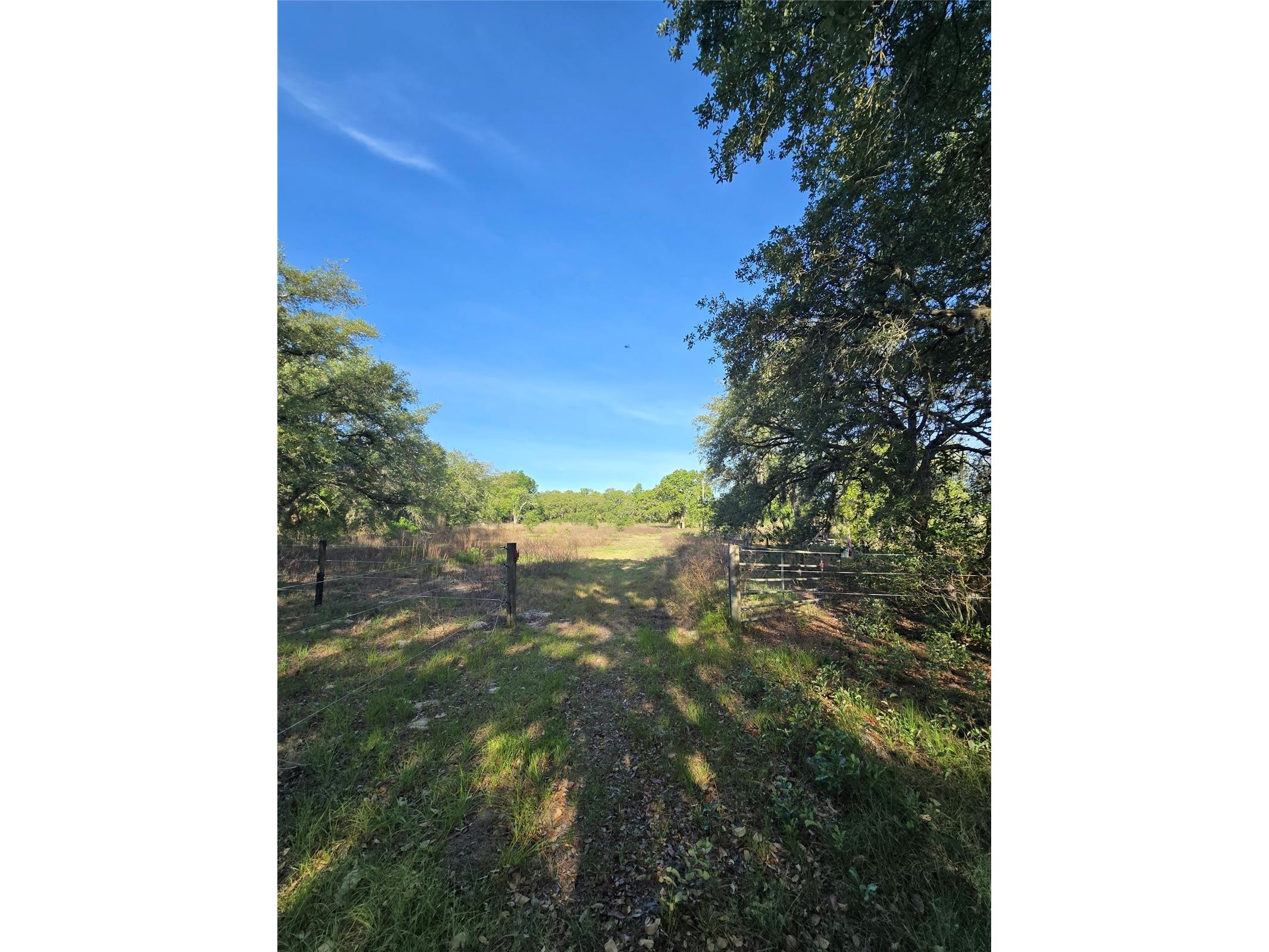 14515 Giddyup Lane Hudson FL 34669 TB8503829 image1