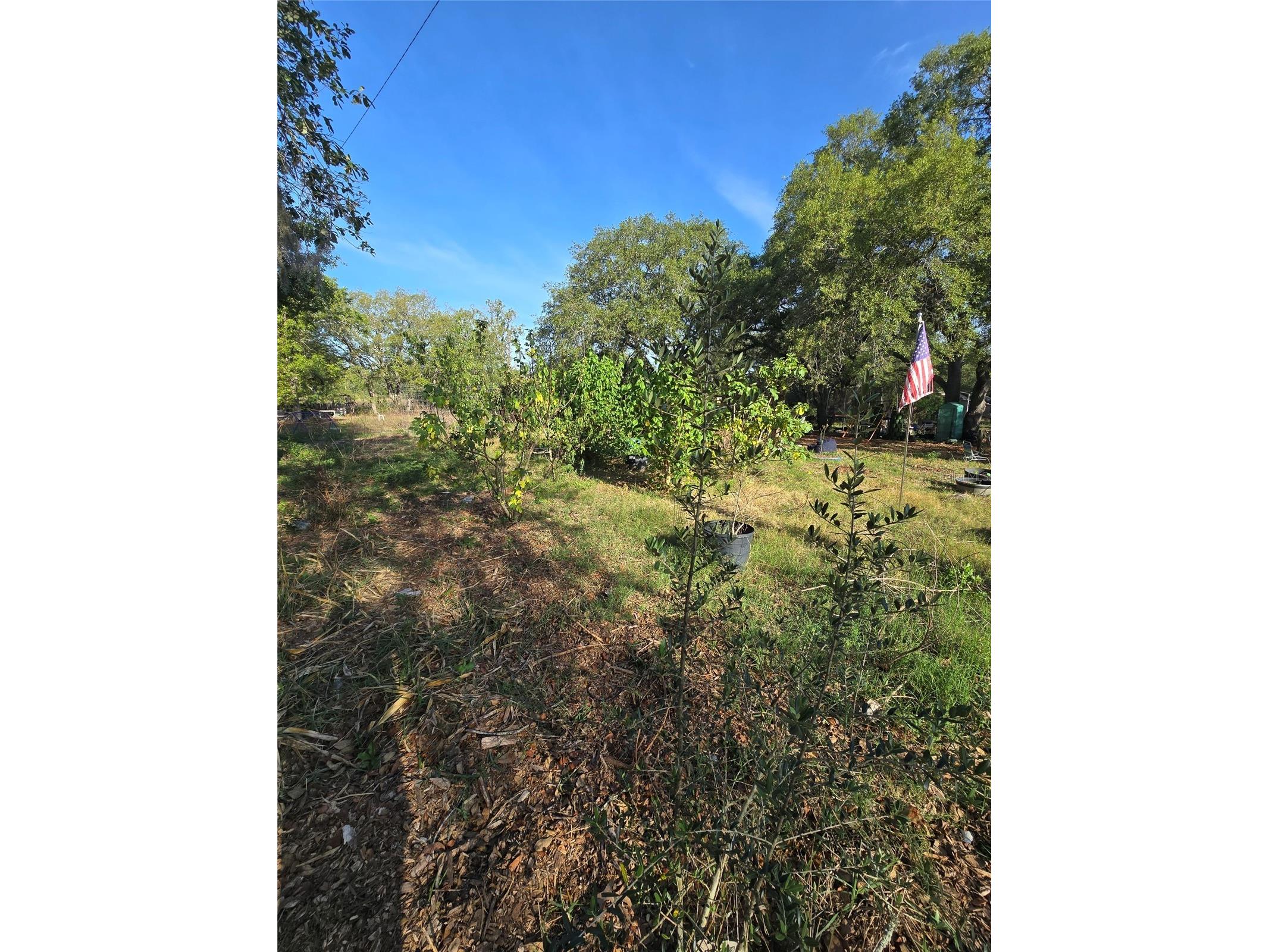 14515 Giddyup Lane Hudson FL 34669 TB8503829 image2