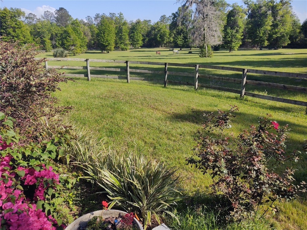 14515 W Highway 328 Ocala FL 34482 OM697298 image16