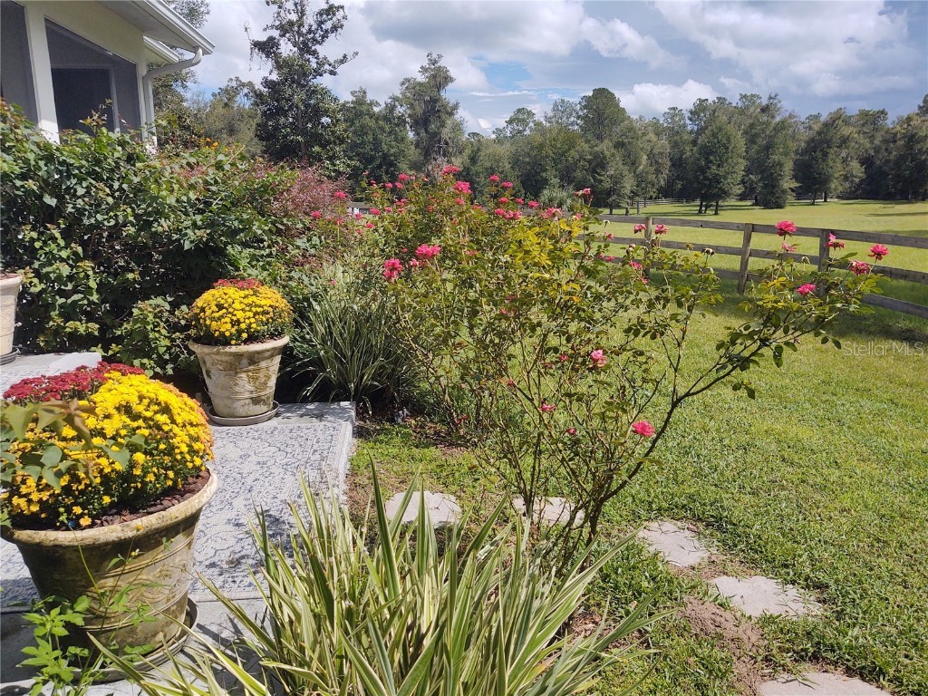 14515 W Highway 328 Ocala FL 34482 OM697298 image21