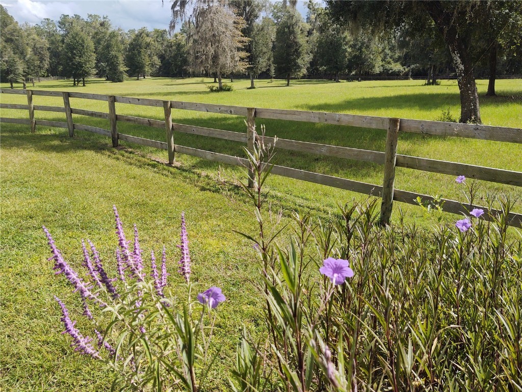 14515 W Highway 328 Ocala FL 34482 OM697298 image22