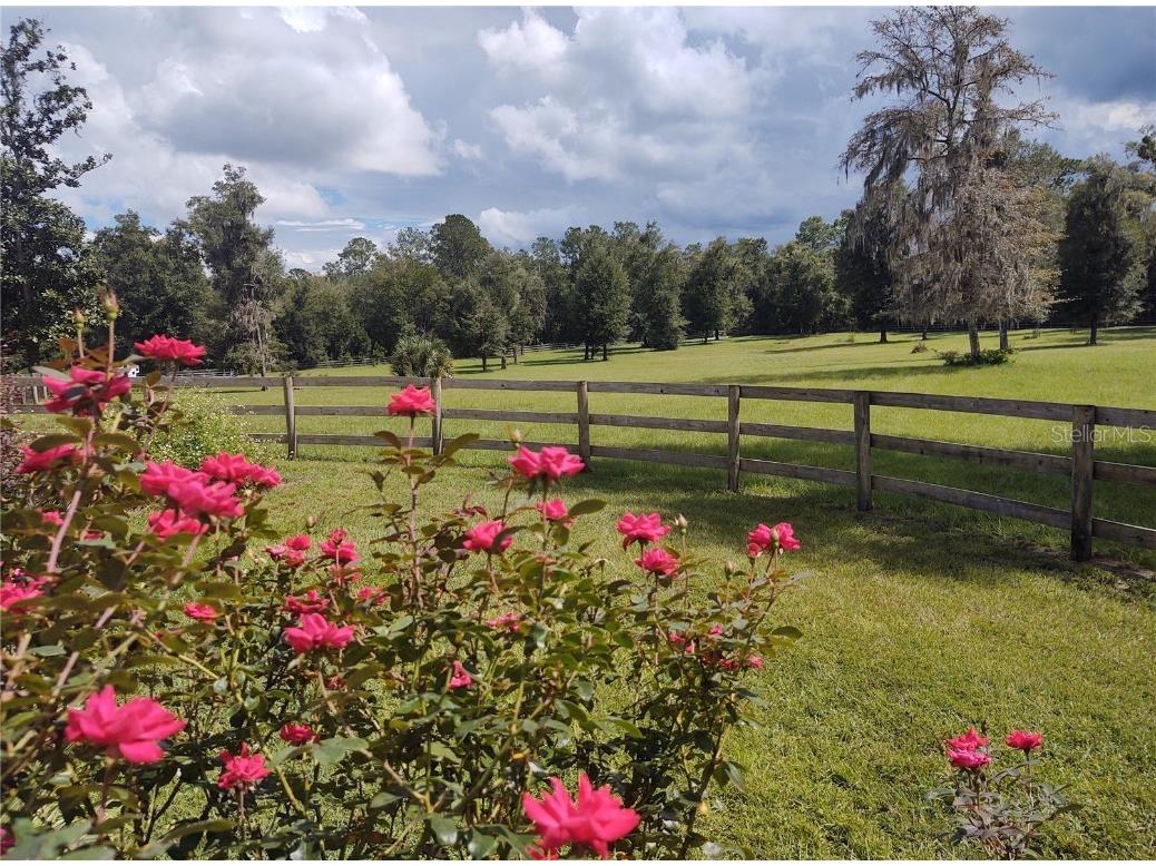 14515 W Highway 328 Ocala FL 34482 OM697298 image23