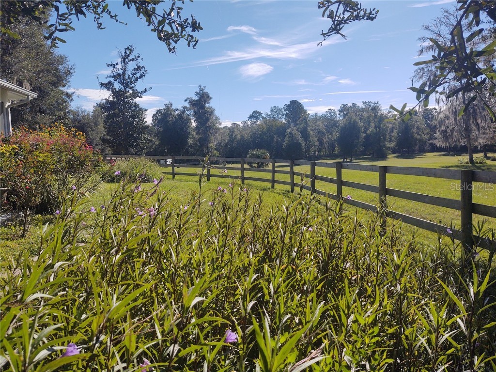 14515 W Highway 328 Ocala FL 34482 OM697298 image25