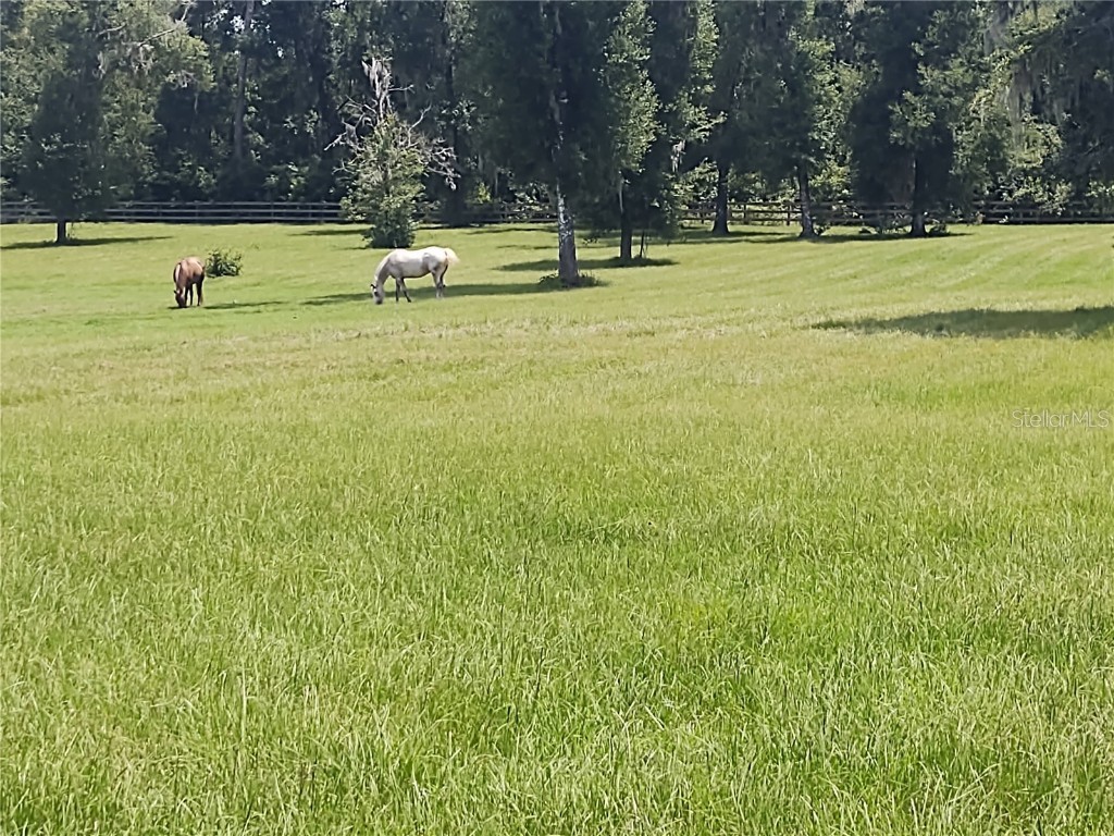 14515 W Highway 328 Ocala FL 34482 OM697298 image26