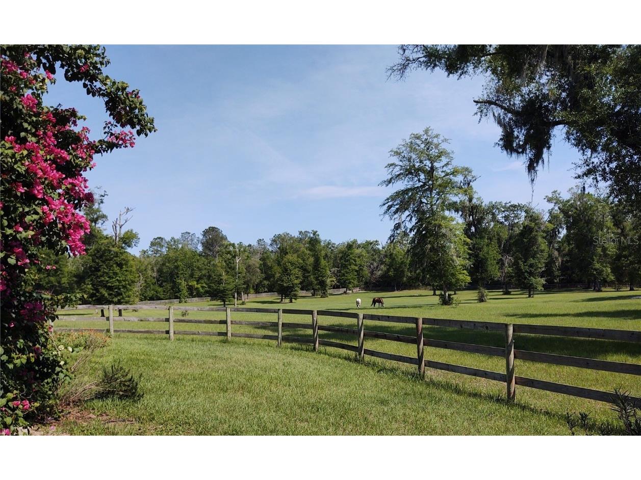 14515 W Highway 328 Ocala FL 34482 OM697298 image31
