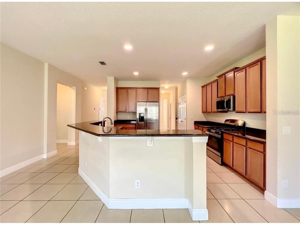 14517 Black Lake Preserve Street Winter Garden FL 34787 A4674838 image5