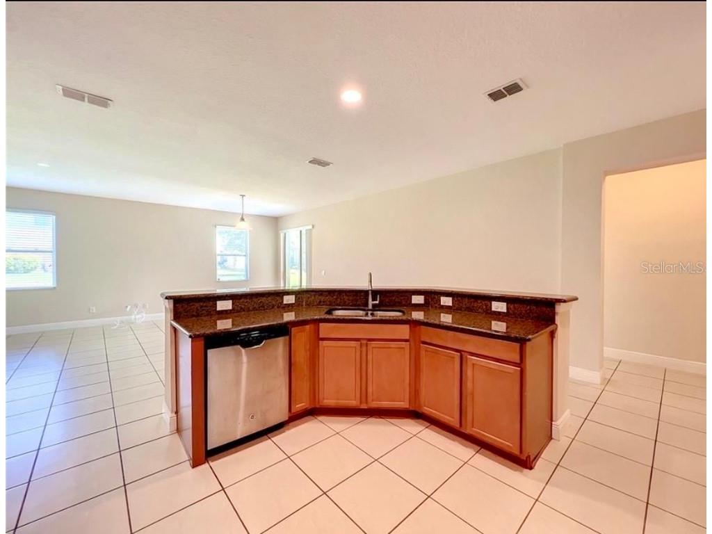 14517 Black Lake Preserve Street Winter Garden FL 34787 A4674838 image8