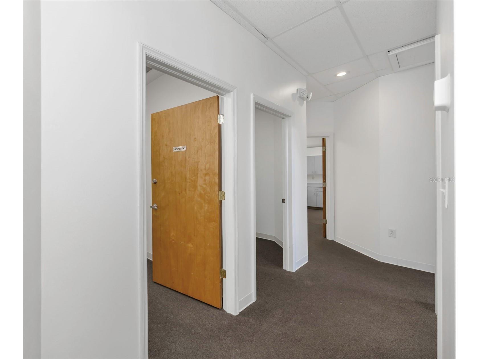 14517 Bruce B Downs Boulevard #301 Tampa FL 33613 TB8505808 image8