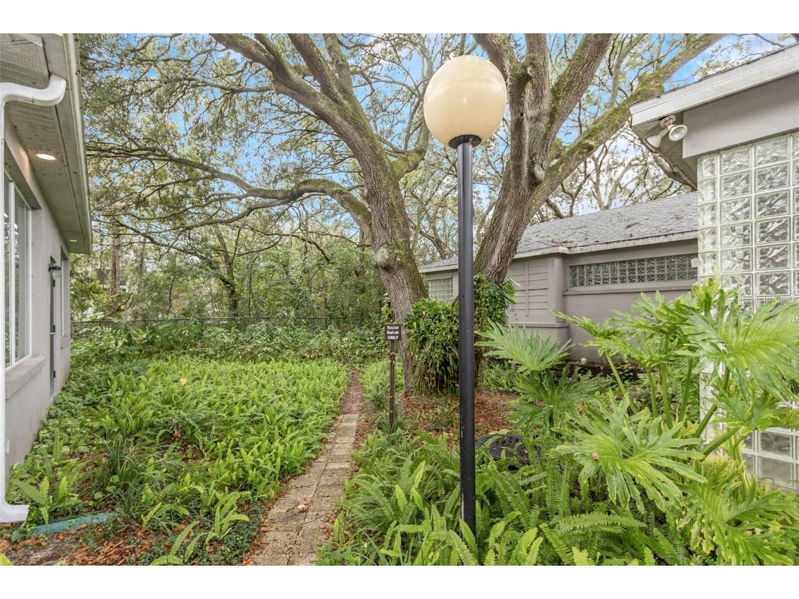 14517 Bruce B Downs Boulevard Tampa FL 33613 U8226406 image3