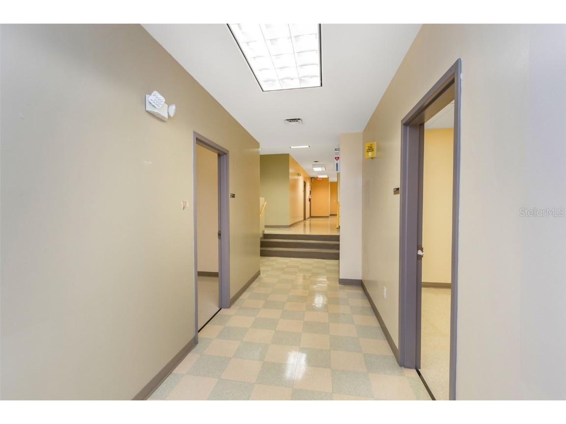 14517 Bruce B Downs Boulevard Tampa FL 33613 U8226406 image57