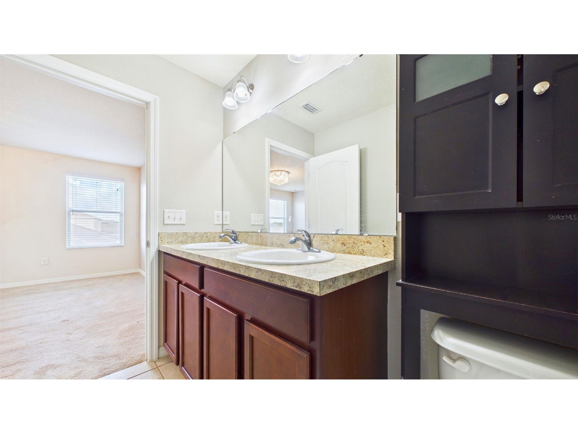 14517 Dunrobin Drive Wimauma FL 33598 TB8522842 image21