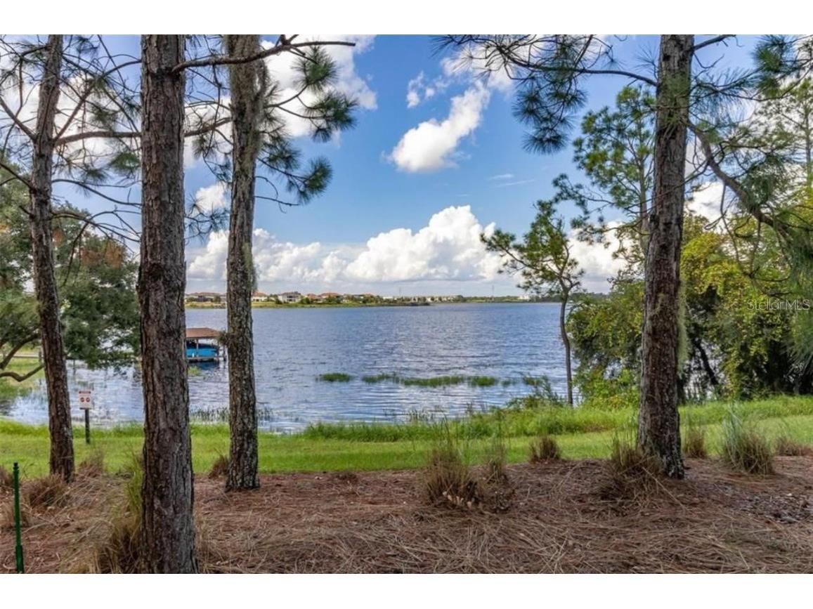 14518 Black Quill Dr Drive #14518 Winter Garden FL 34787 - LAKE HANCOCK O6354129 image44