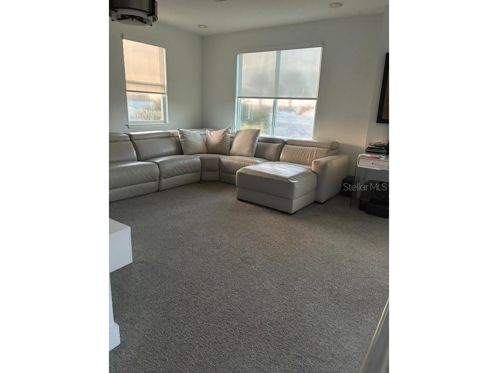 14519 Crested Plume Drive Winter Garden FL 34787 S5135172 image10