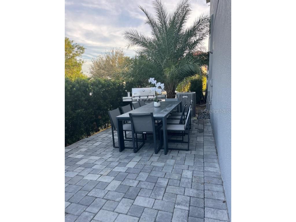 14519 Crested Plume Drive Winter Garden FL 34787 S5135172 image16