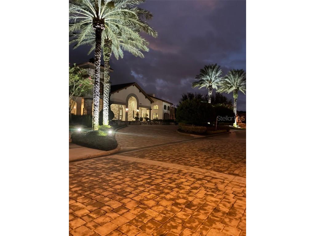 14519 Crested Plume Drive Winter Garden FL 34787 S5135172 image19