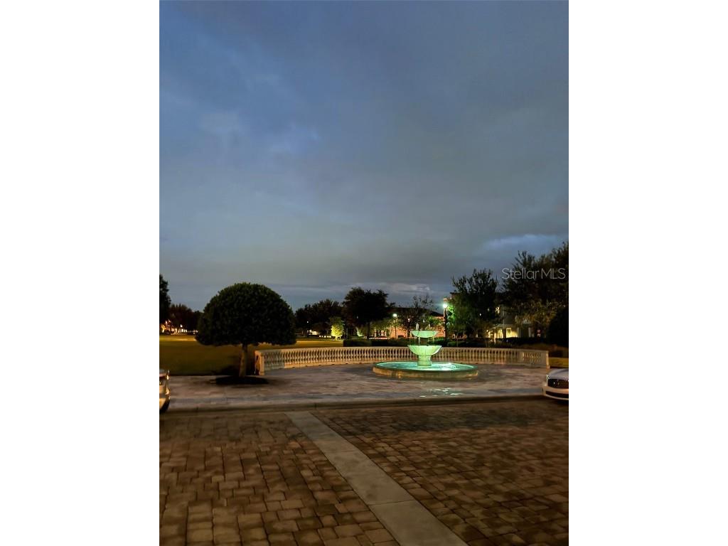 14519 Crested Plume Drive Winter Garden FL 34787 S5135172 image22