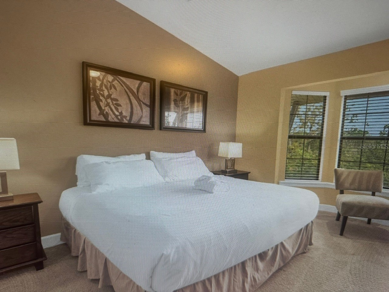 14519 Damai Lane Orlando FL 32821 S5141864 image12