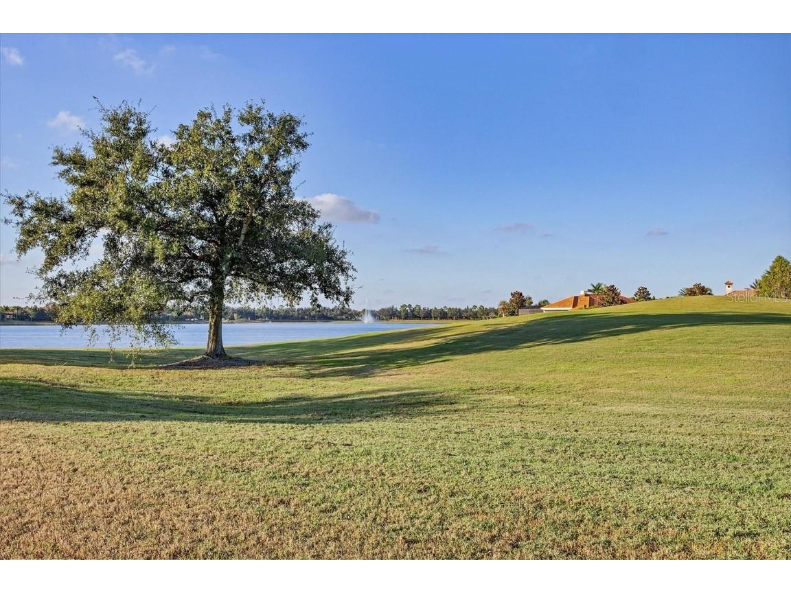 14519 Leopard Creek Place Lakewood Ranch FL 34202 A4669915 image41