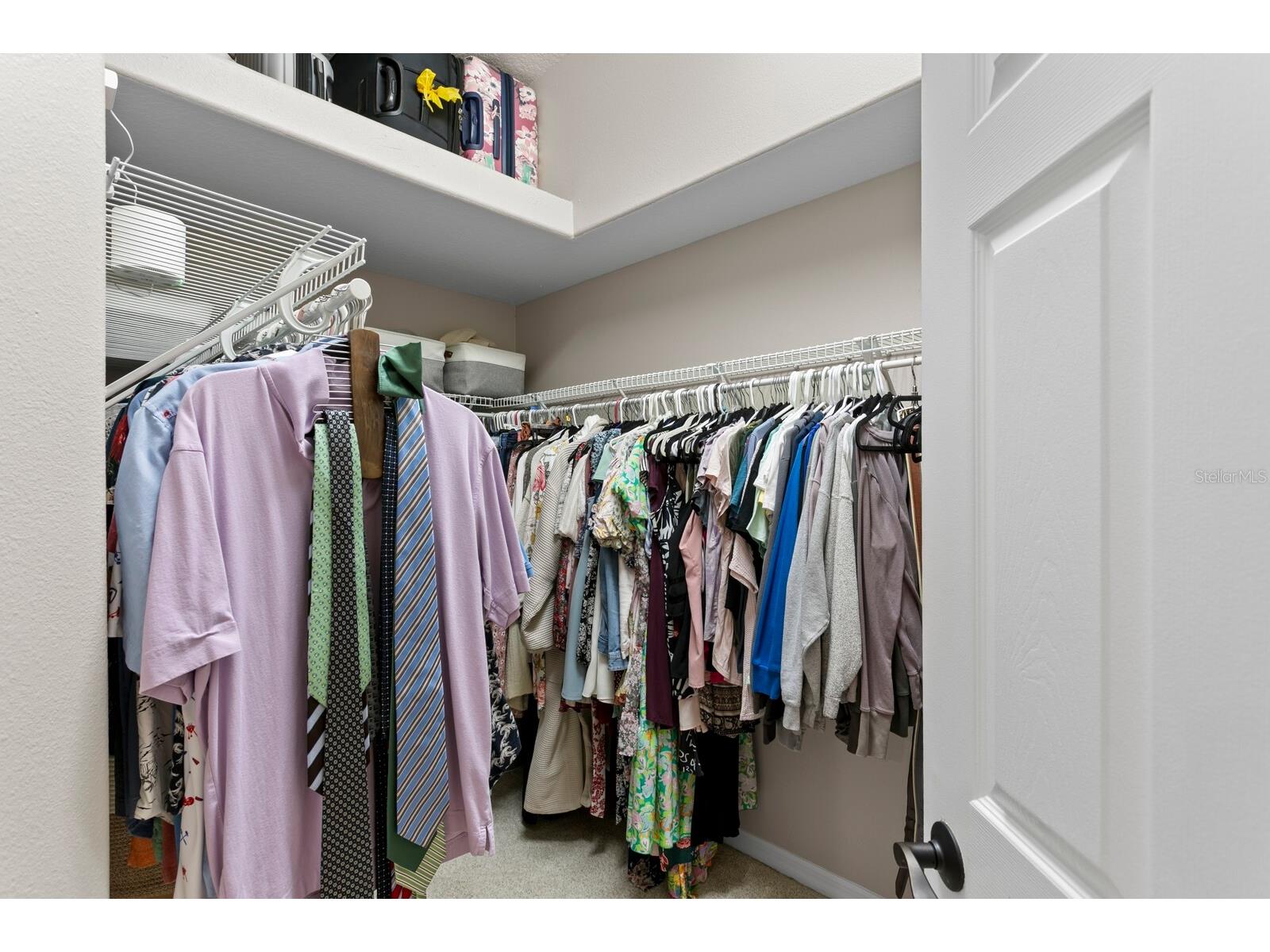 14519 Mirasol Manor Court Tampa FL 33626 TB8516948 image29