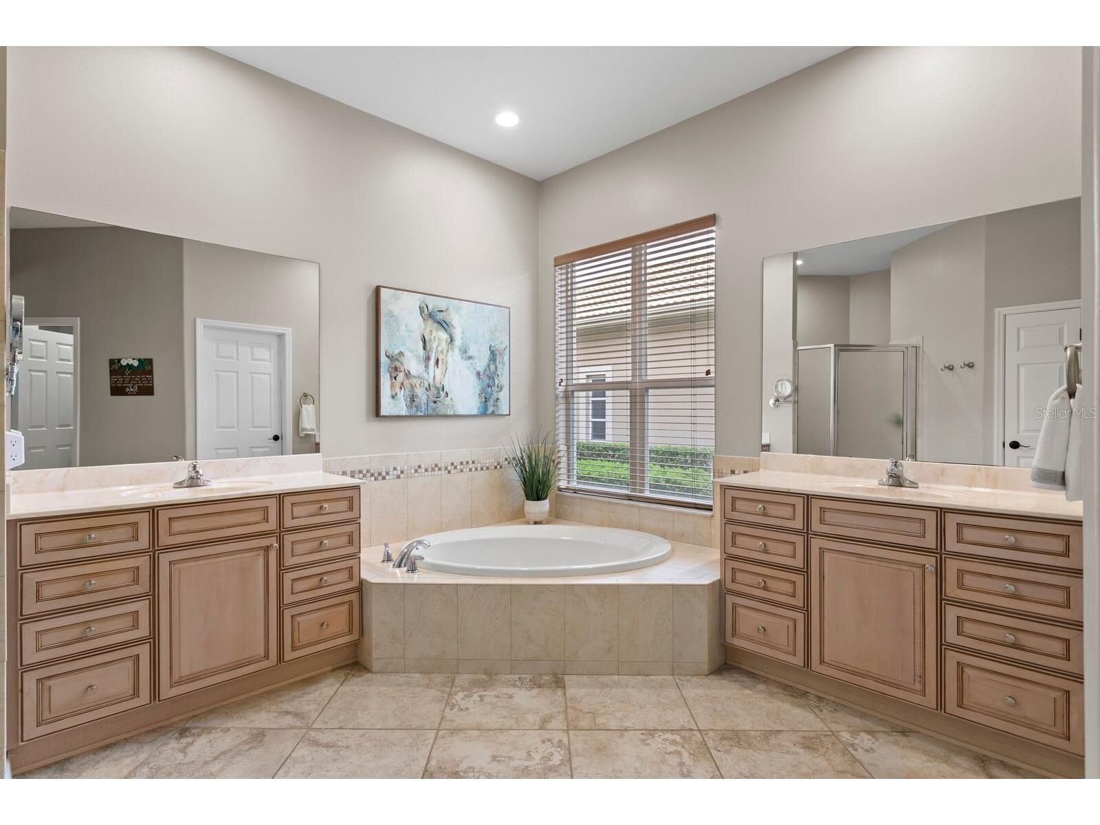 14519 Mirasol Manor Court Tampa FL 33626 TB8516948 image30