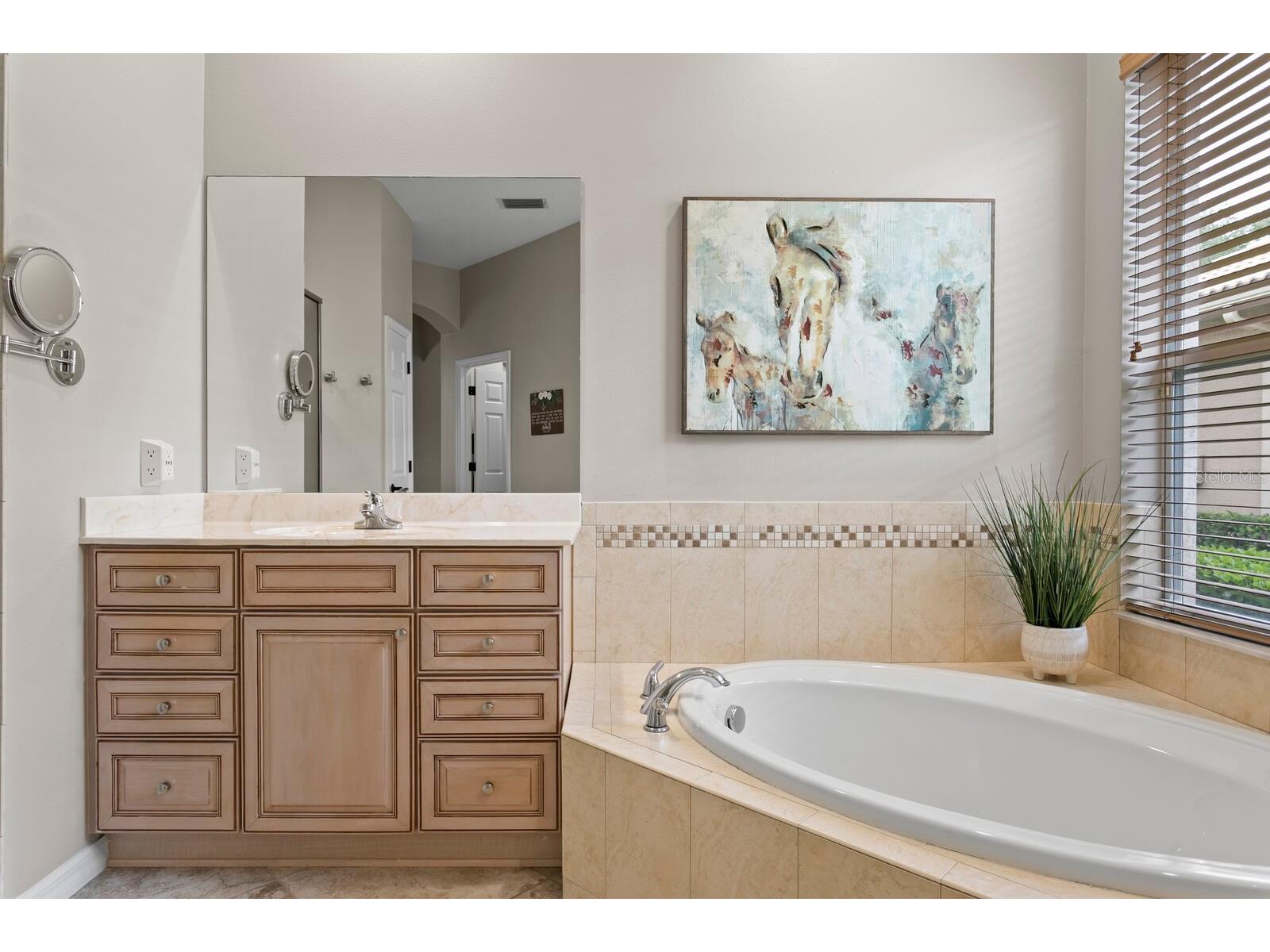 14519 Mirasol Manor Court Tampa FL 33626 TB8516948 image32