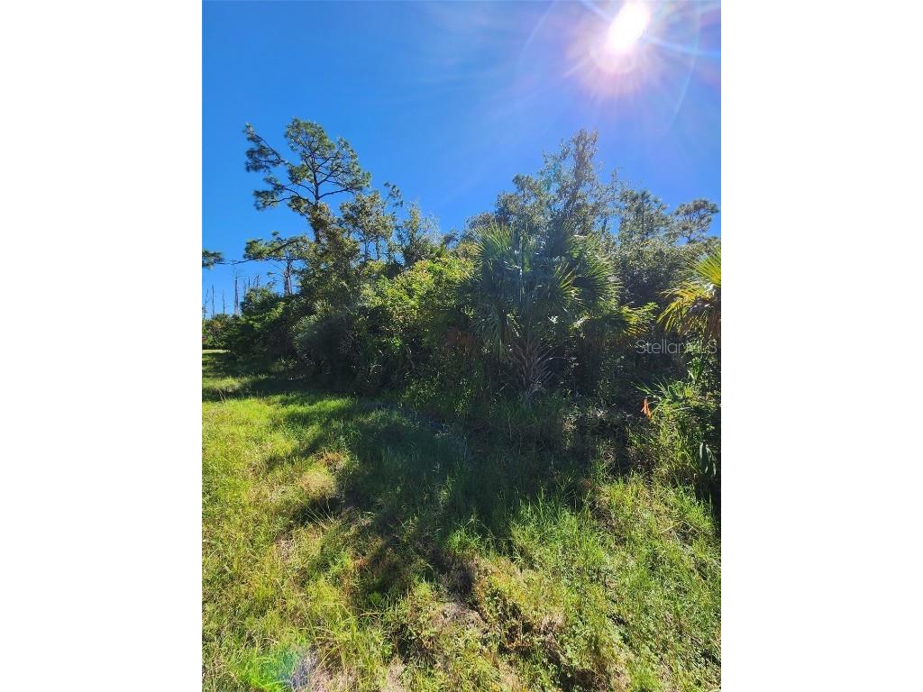 14519 Twining Avenue Port Charlotte FL 33953 A4672161 image2