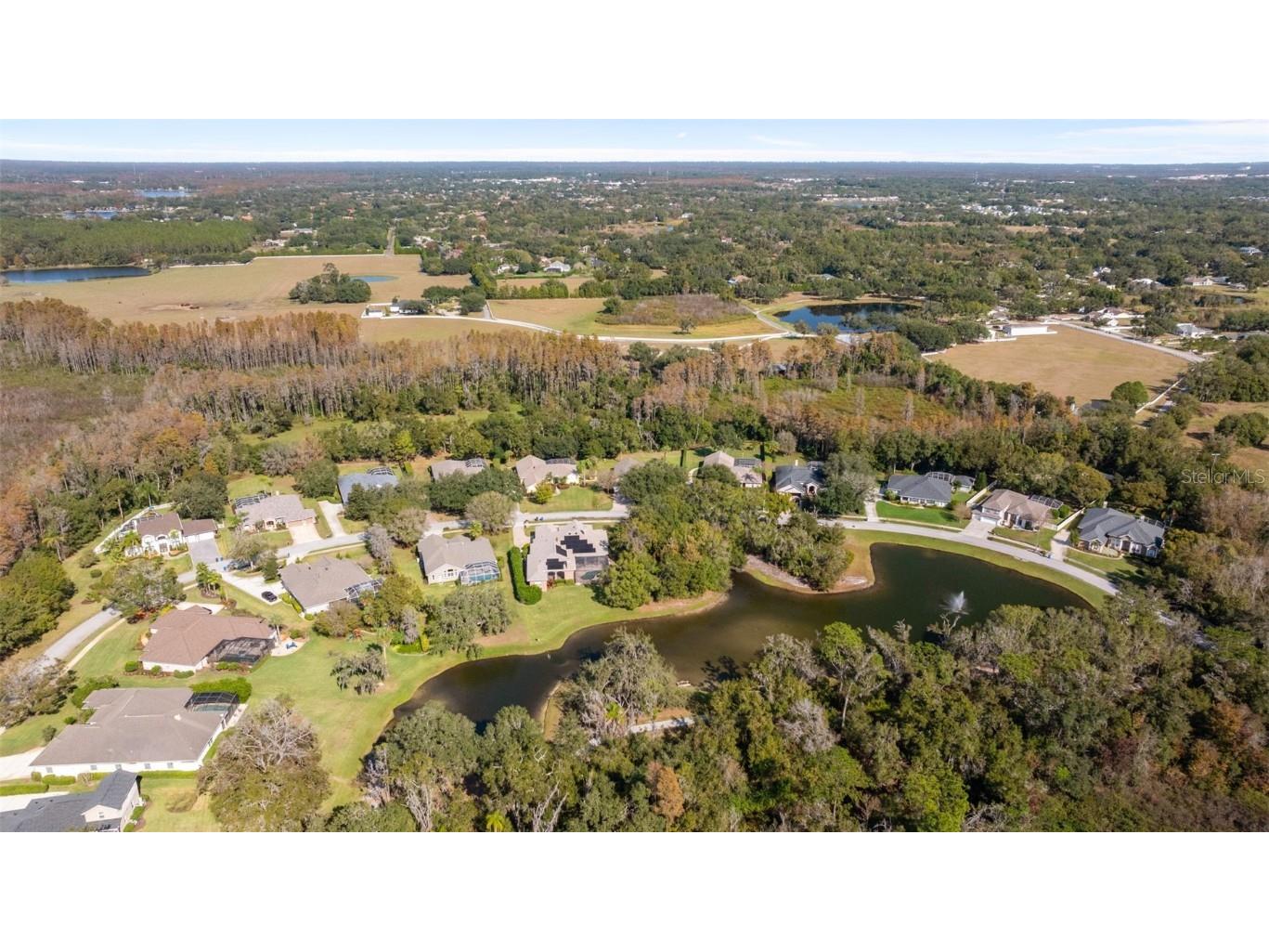 1452 Kensington Woods Drive Lutz FL 33549 TB8454509 image57