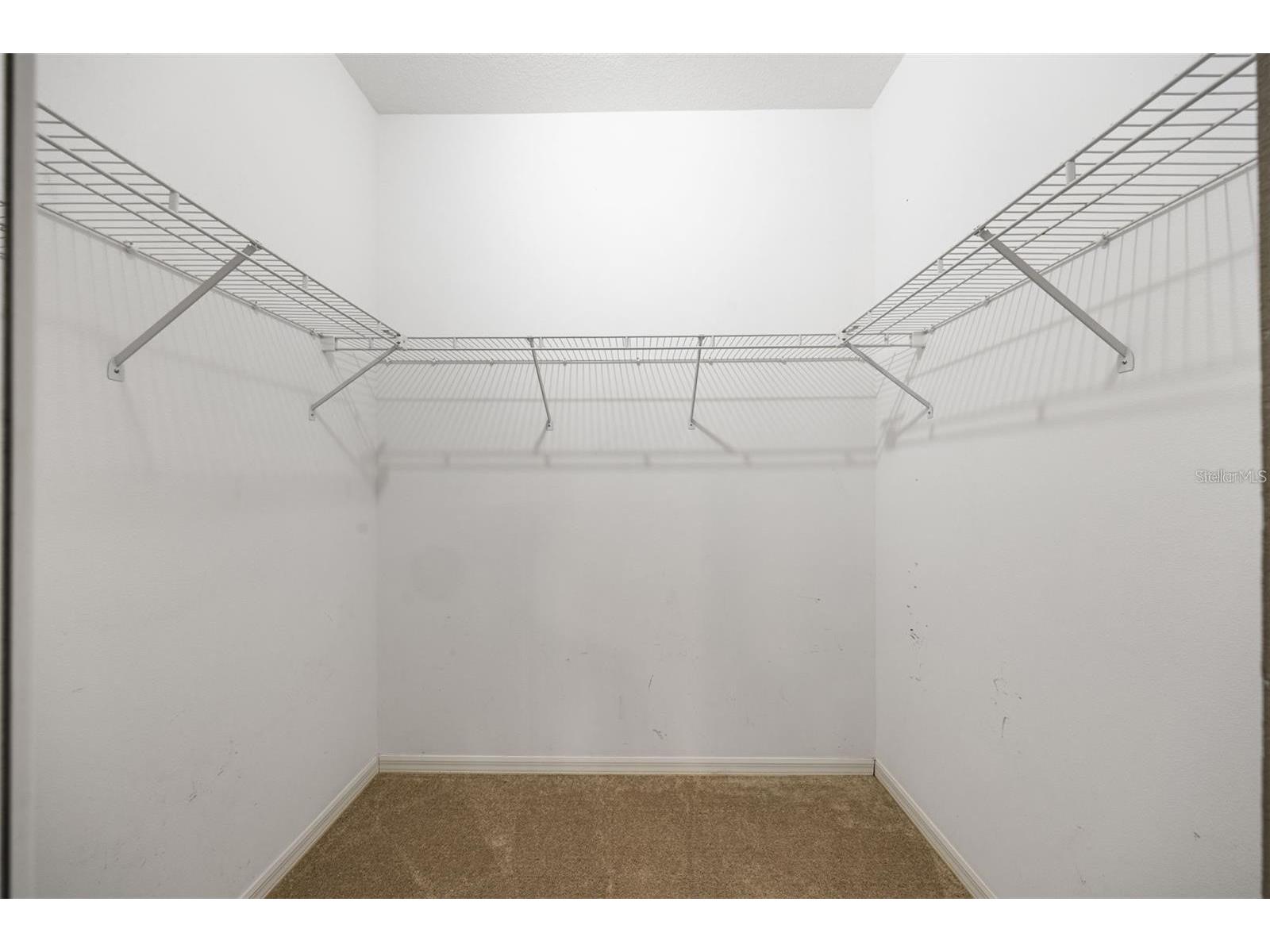 1452 Kensington Woods Drive Lutz FL 33549 TB8509318 image12