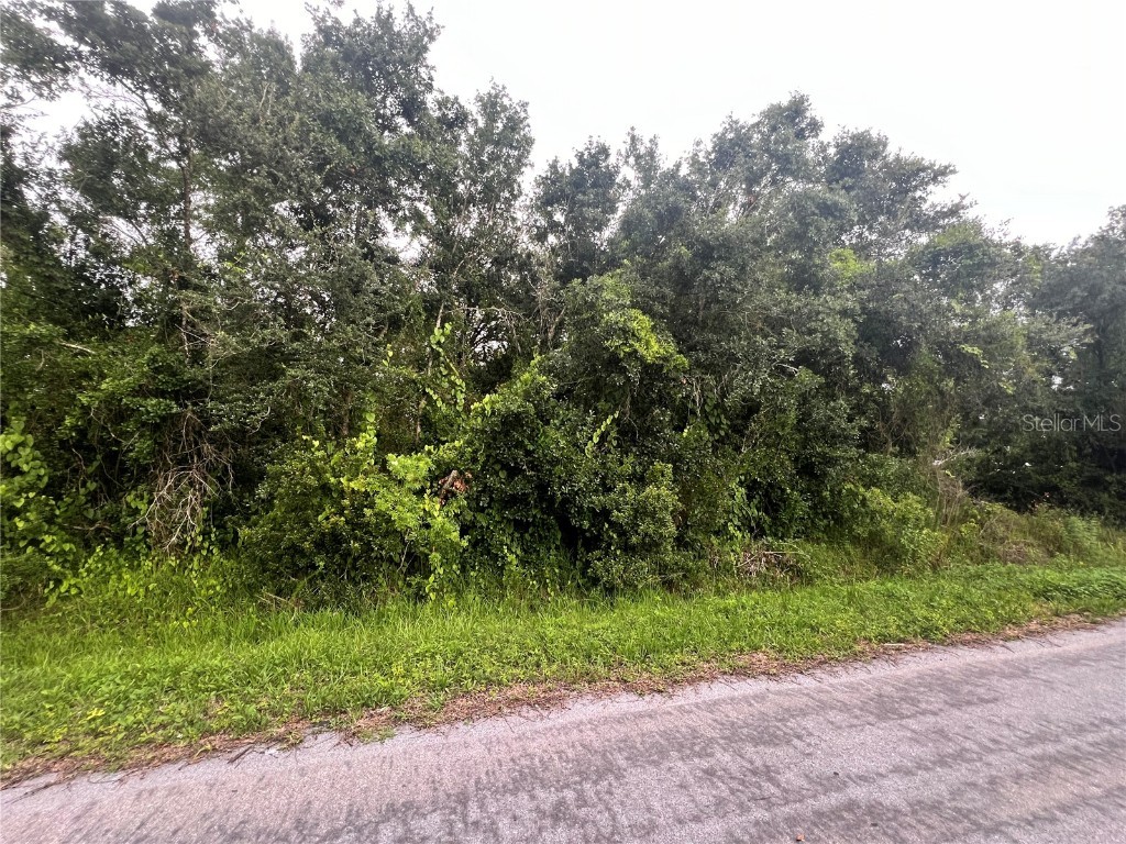 1452 NE Lee Drive Arcadia FL 34266 C7494603 image1