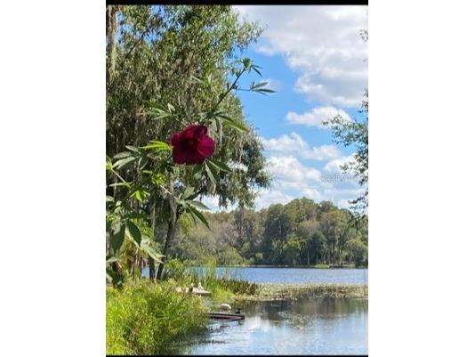 14520 Geneva Dr Odessa FL 33556 - Lake Geneva TB8506785 image23