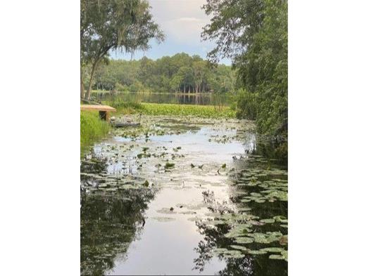 14520 Geneva Dr Odessa FL 33556 - Lake Geneva TB8506785 image24