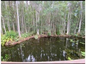 14520 Geneva Dr Odessa FL 33556 - Lake Geneva TB8506785 image25