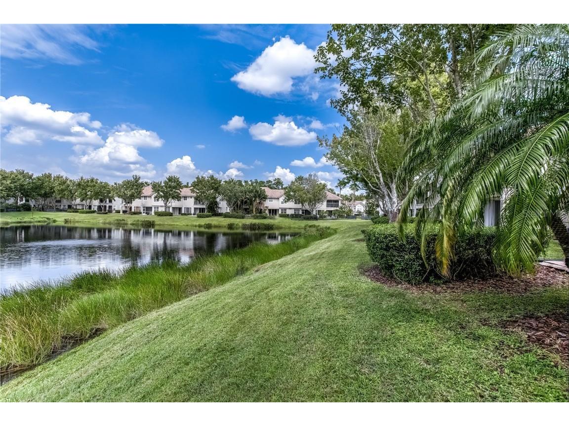 14522 Mirabelle Vista Circle Tampa FL 33626 TB8434606 image20