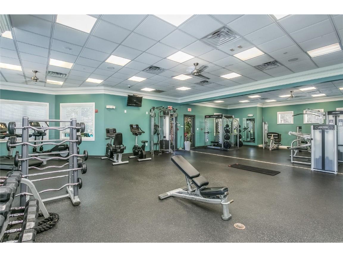 14522 Mirabelle Vista Circle Tampa FL 33626 TB8434606 image27