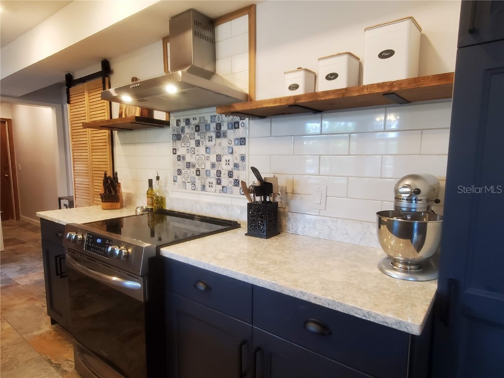 14523 Halfway Lane Odessa FL 33556 - LAKE SEMINOLE TB8418046 image11