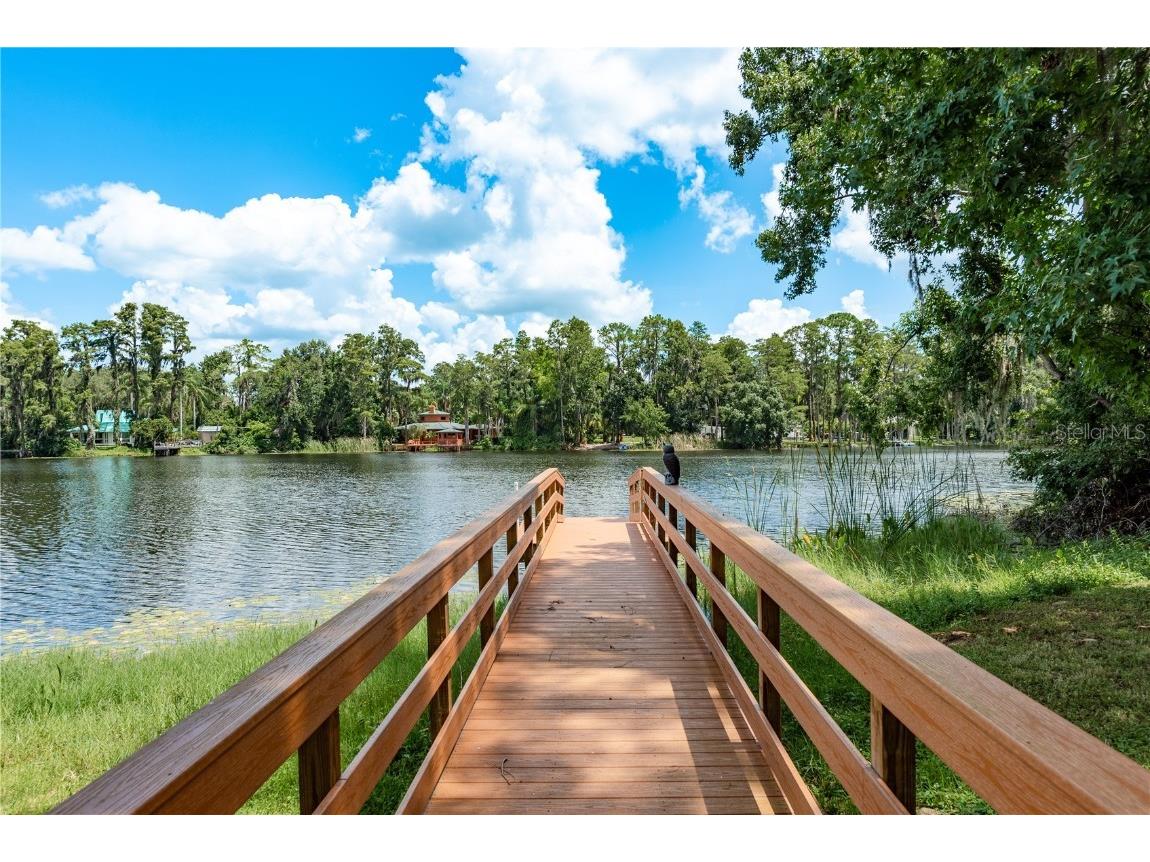 14523 Halfway Lane Odessa FL 33556 - LAKE SEMINOLE TB8418046 image25