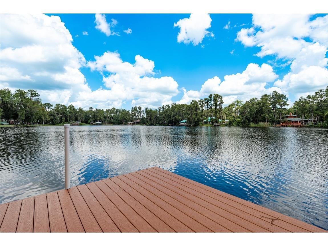 14523 Halfway Lane Odessa FL 33556 - LAKE SEMINOLE TB8418046 image26