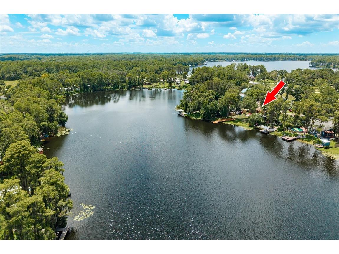 14523 Halfway Lane Odessa FL 33556 - LAKE SEMINOLE TB8418046 image3