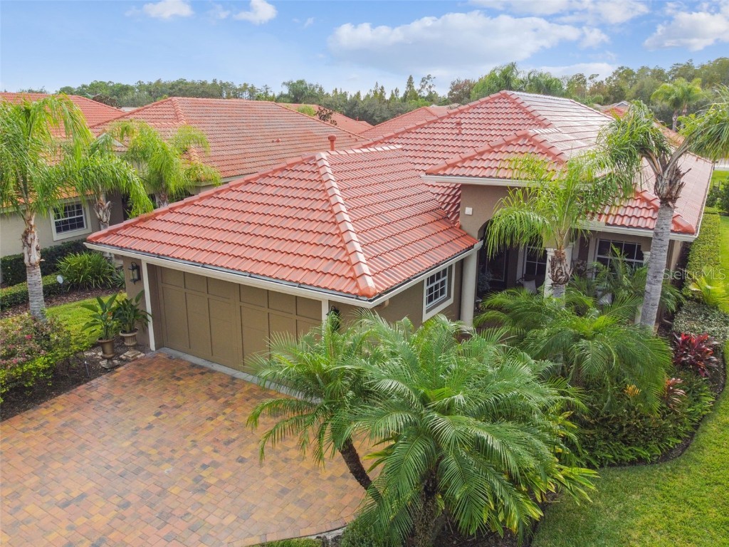 14523 Mirasol Manor Court Tampa FL 33626 T3480646 image1