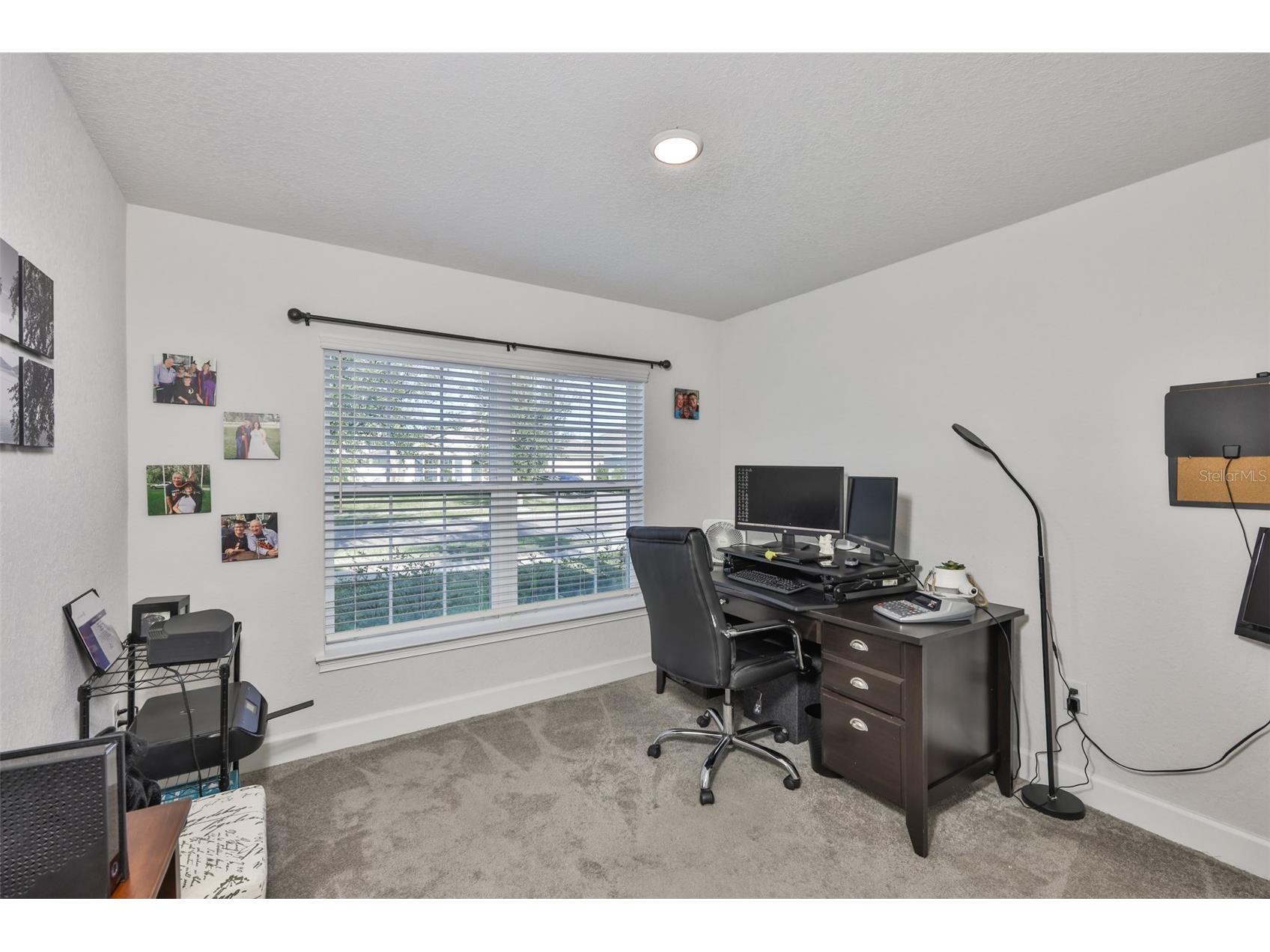 14524 Scottburgh Glen Drive Wimauma FL 33598 TB8460041 image12