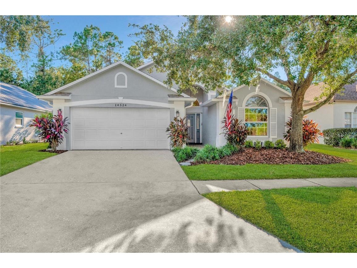 14524 Weeping Elm Drive Tampa FL 33626 T3471968 image1