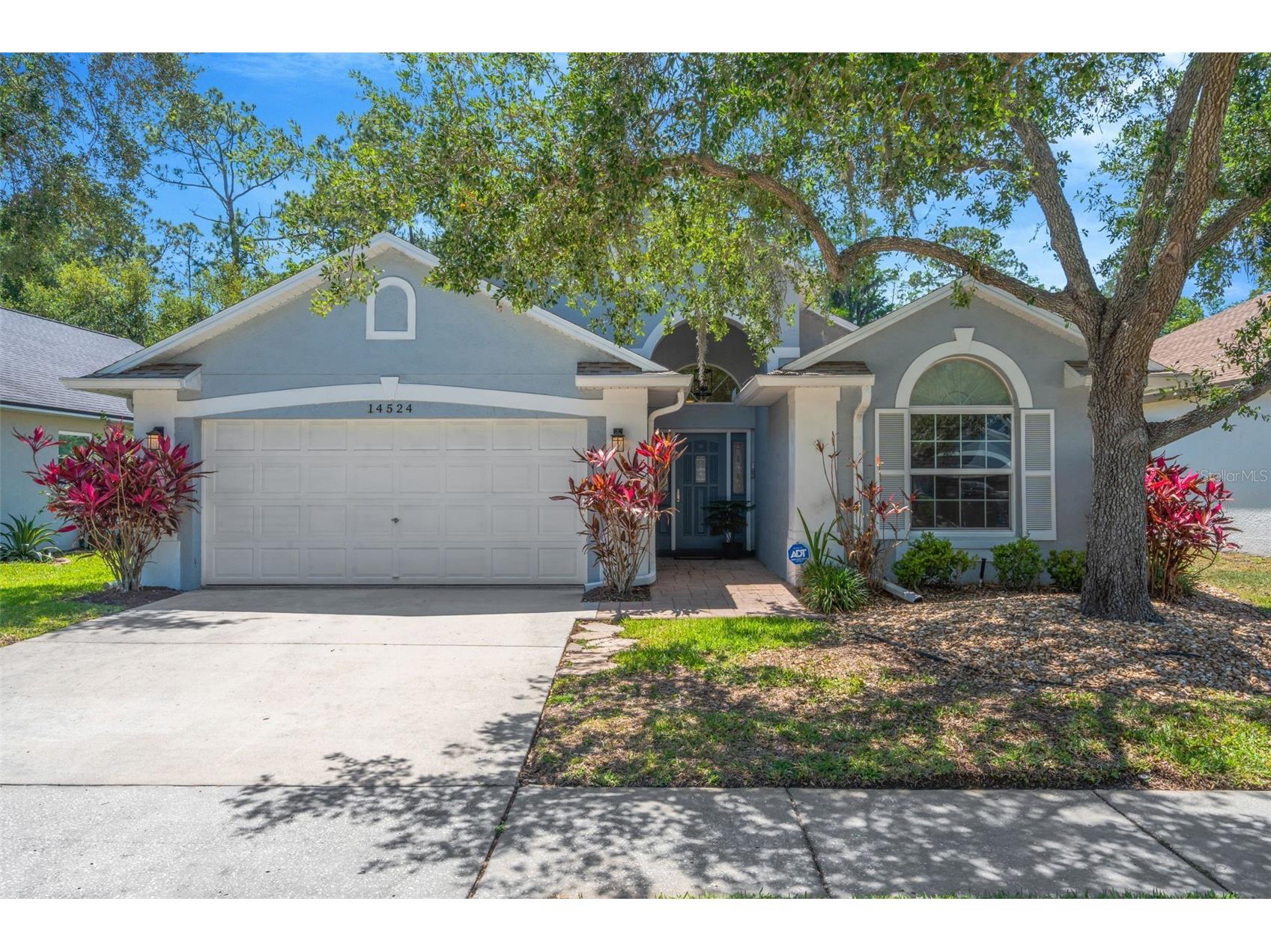 14524 Weeping Elm Drive Tampa FL 33626 TB8499548 image1